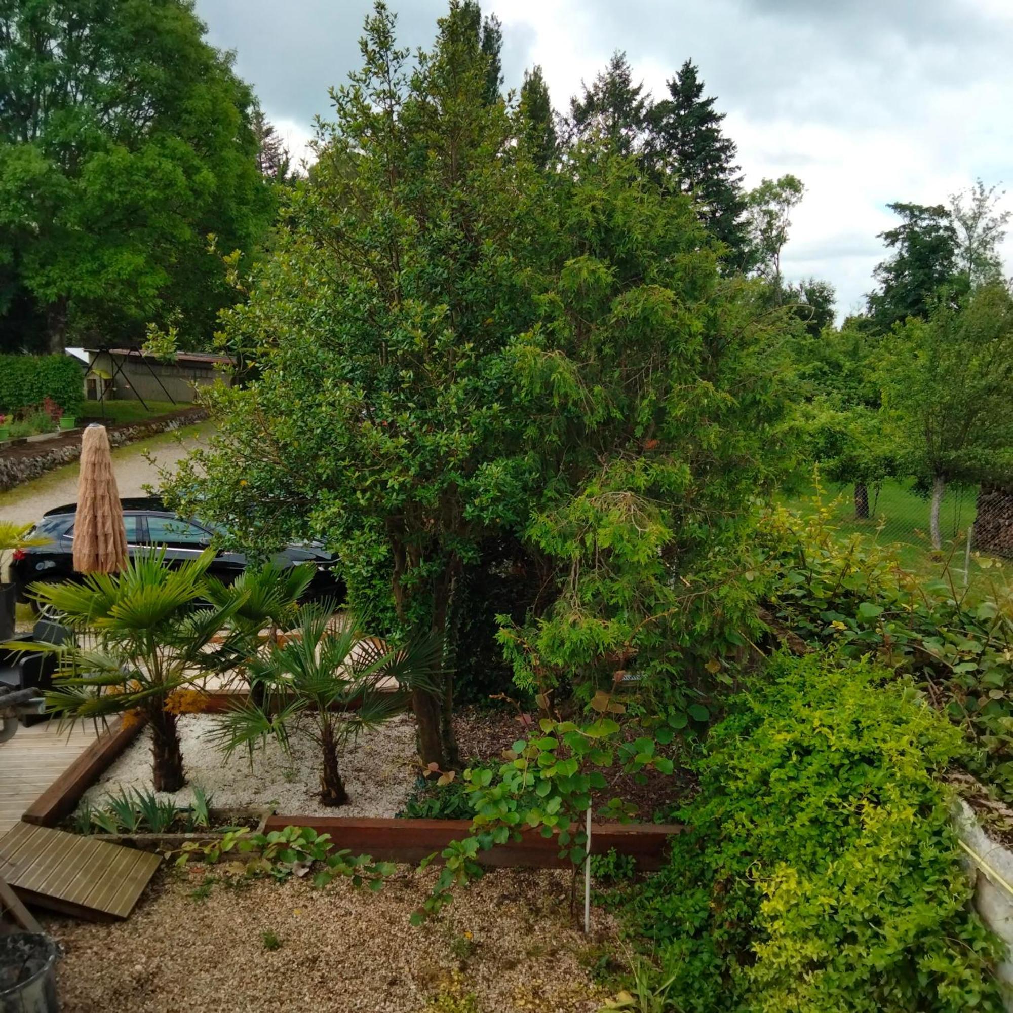 Mont-sous-Vaudrey Le Jack Bed & Breakfast エクステリア 写真
